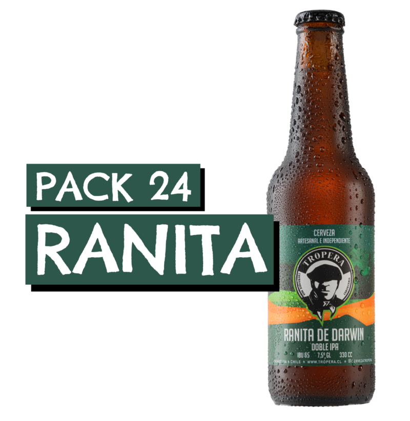 24 Pack Ranita